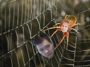Create meme: boy, web, a spider spinning a web