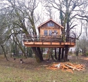 Создать мем: treehouse, дома на деревьях, дом на дереве