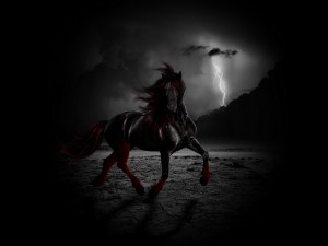 Создать мем: черный мустанг конь, черная лошадь, лошадь на темном фоне
