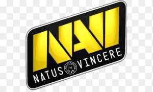 Create meme: Navi cs go, navi dota 2, logo Navi