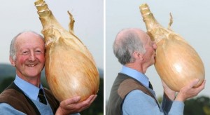 Создать мем: гигантские овощи 19 века, луковица, огромная луковица