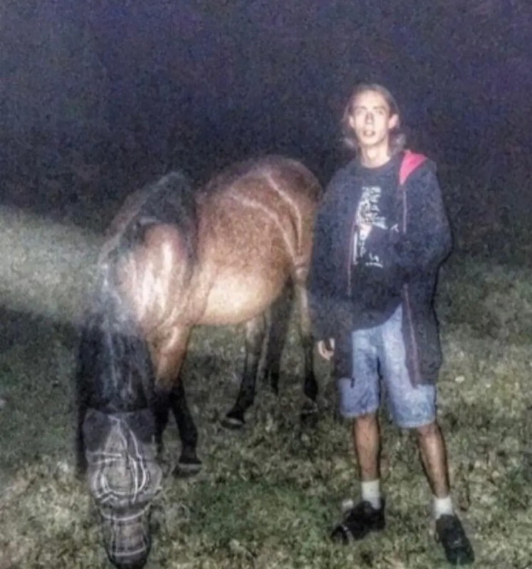 Create meme: horse , darkness, people 