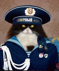Создать мем: с днем военно морского флота, кот капитан, северный флот