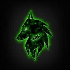 Create meme: night fox, vlad, wolf logo