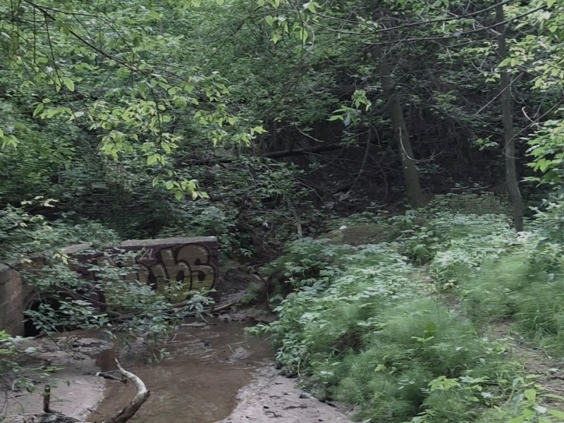 Create meme: stream, deep ravine, spring mill