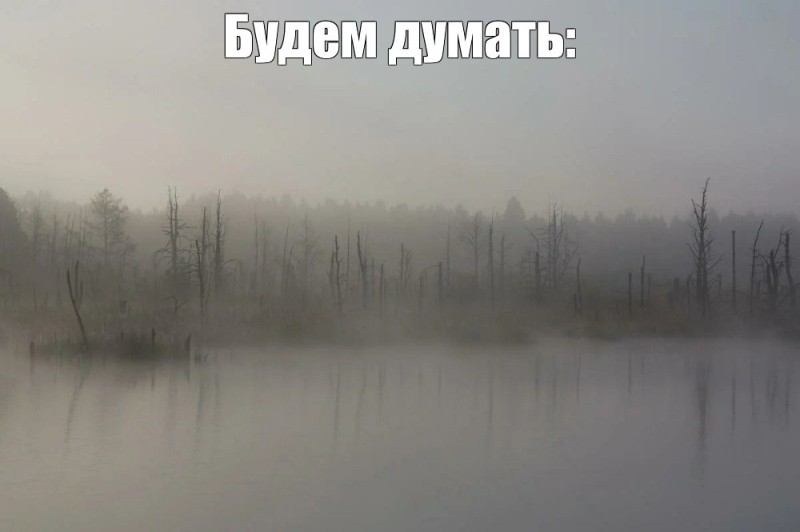 Create meme: the swamp in the fog, swamp swamp aesthetics