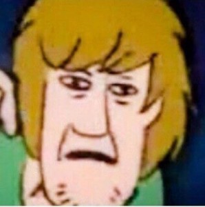 Create meme: shaggy, Of VA