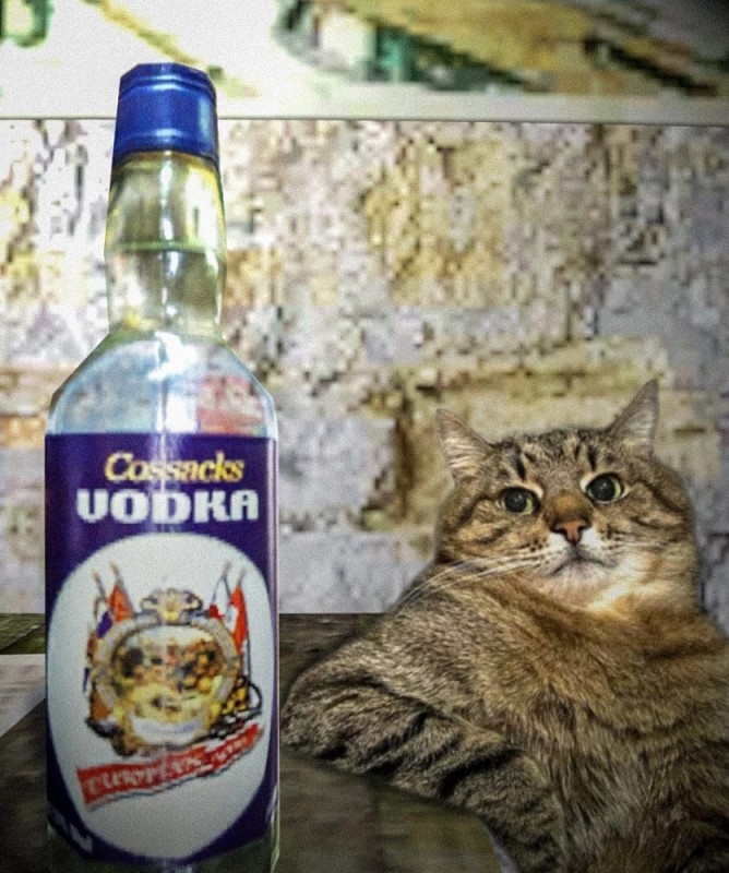 Create meme: stalker vodka Cossacks, vodka , Vodka Cossacks stalker