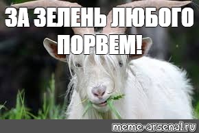 Создать мем: null