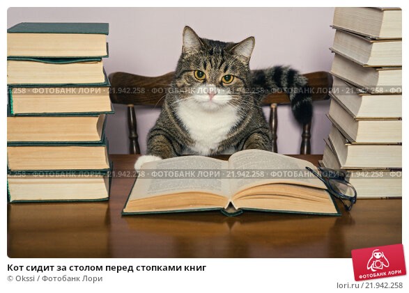 Create meme: scientist cat, the cat is sitting on the books, smart cat