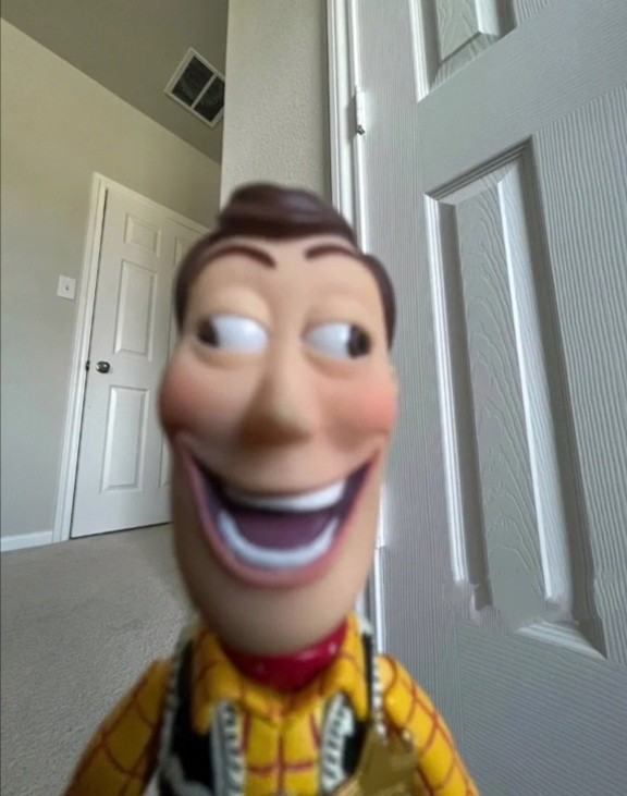 Create meme: woody toy, woody's toy story, woody 