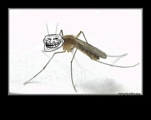 Create meme: the mosquito, the mosquito joke