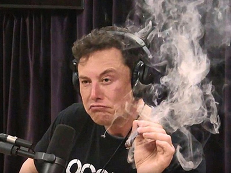 Create meme: guy , Elon musk meme, Elon musk with pot