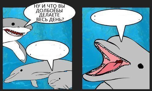 Создать мем: акула смешная, мем с дельфином, dj dolphin