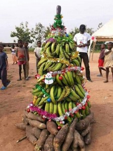 Create meme: plantain, bananas on the tree, india banana photo