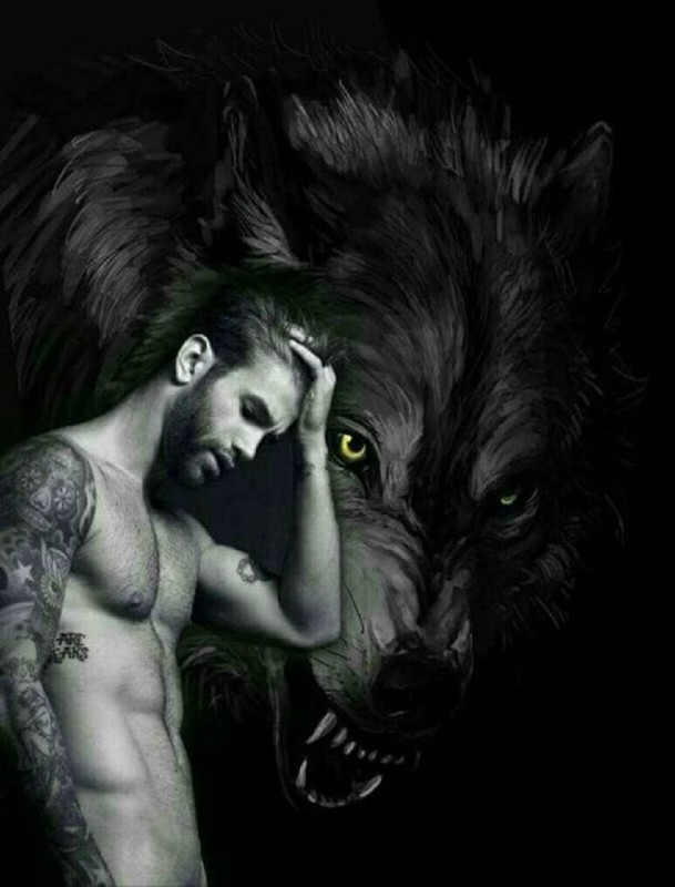 Create meme: the black wolf is evil, brutal wolf, wolf spirit