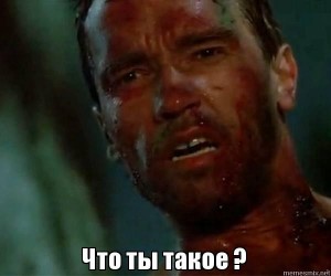 Create meme: all memes, Schwarzenegger what are you meme, Tamiami