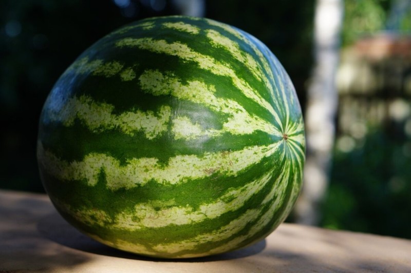 Create meme: choose a watermelon, watermelon, a good watermelon