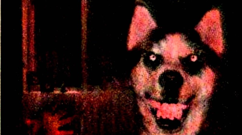 Создать мем: смайл дог страшный, smile dog, улыбающаяся собака крипипаста