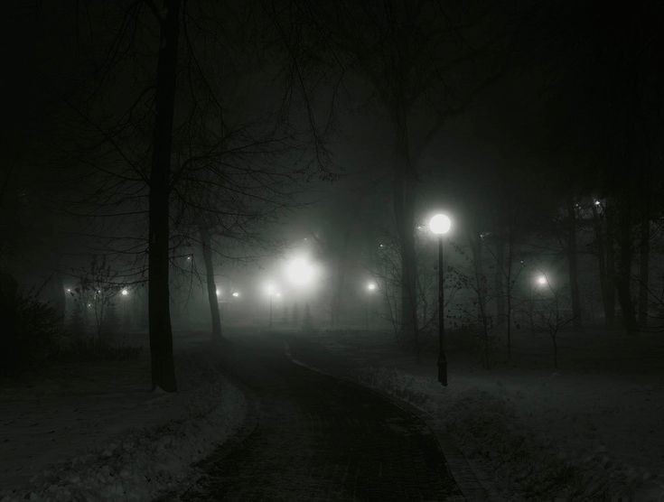 Create meme: foggy evening, landscape , night 