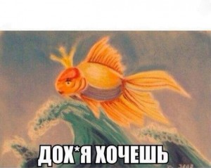 Создать мем: золотая рыбка на волне рисунок, золотая рыбка пастелью, золотая рыбка