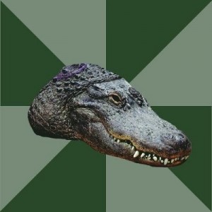 Create meme: alligator, crocodile alligator, the head of a crocodile