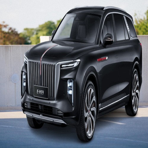 Создать мем: 2021 faw hongqi e-hs9, hongqi e hs 9 2021, hongqi e hs 9