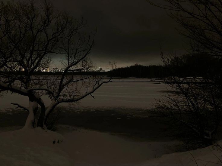 Create meme: landscape , winter night, winter evening