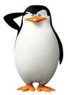 Создать мем: пингвины мадагаскара ковальски, пингвины из мадагаскара ковальский, пингвин из мадагаскара