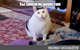 Создать мем: null