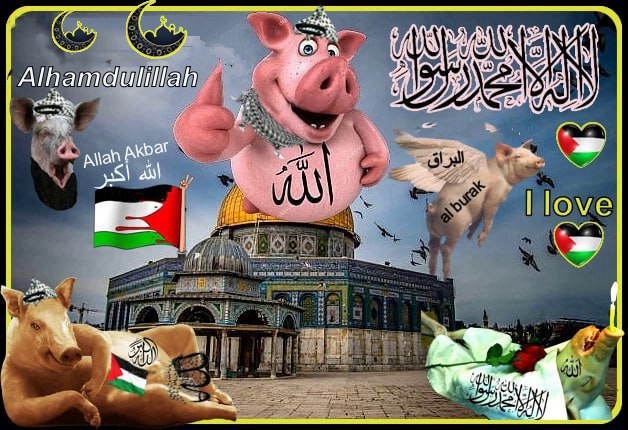 Create meme: girl , pig , pig haram