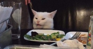 Create meme: cute cat, cat, the meme with the cat at the table