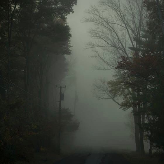 Create meme: gloomy forest aesthetics, Rainy forest aesthetics, dark fog