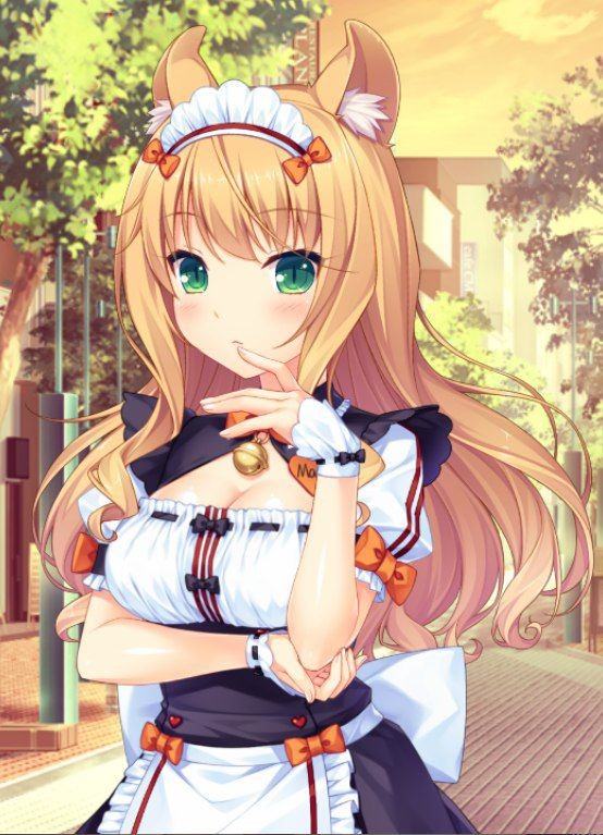 Create meme: nekopara, maple necopara, nekopara maple