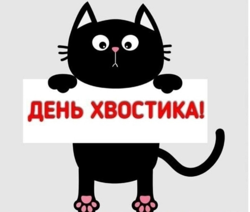 Create meme: Ponytail day, black cat , cat 