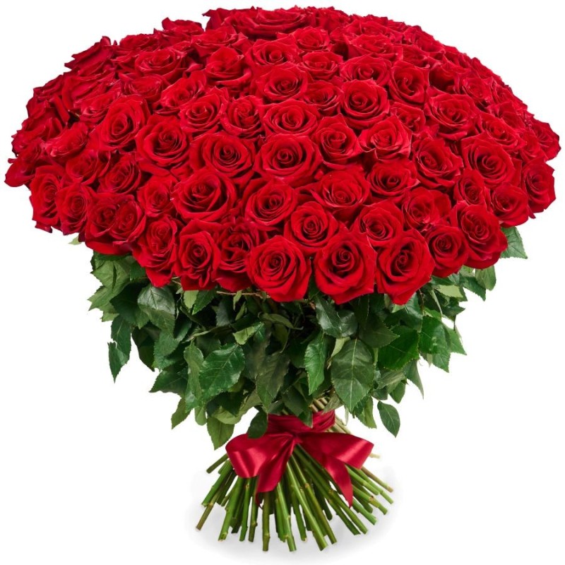 Create meme: red roses bouquet, bouquet 101 red rose, 101 red rose