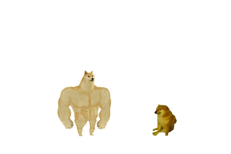 Create meme: the pumped-up dog from memes, doge Jock, dog meme 