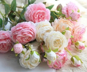 Create meme: peony roses, flowers peonies, pink peonies