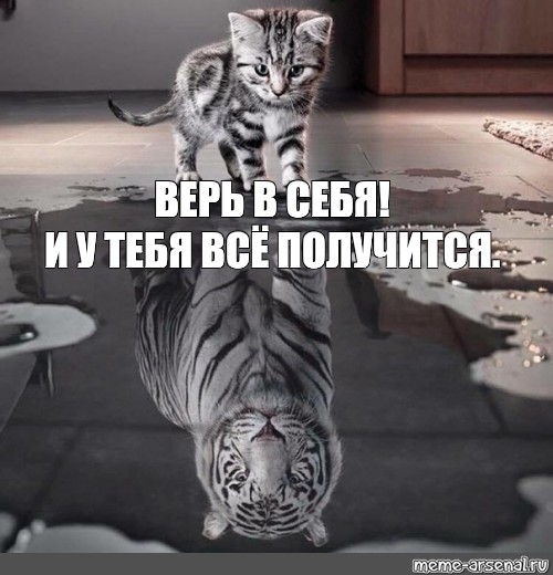 Картинки все получится верь