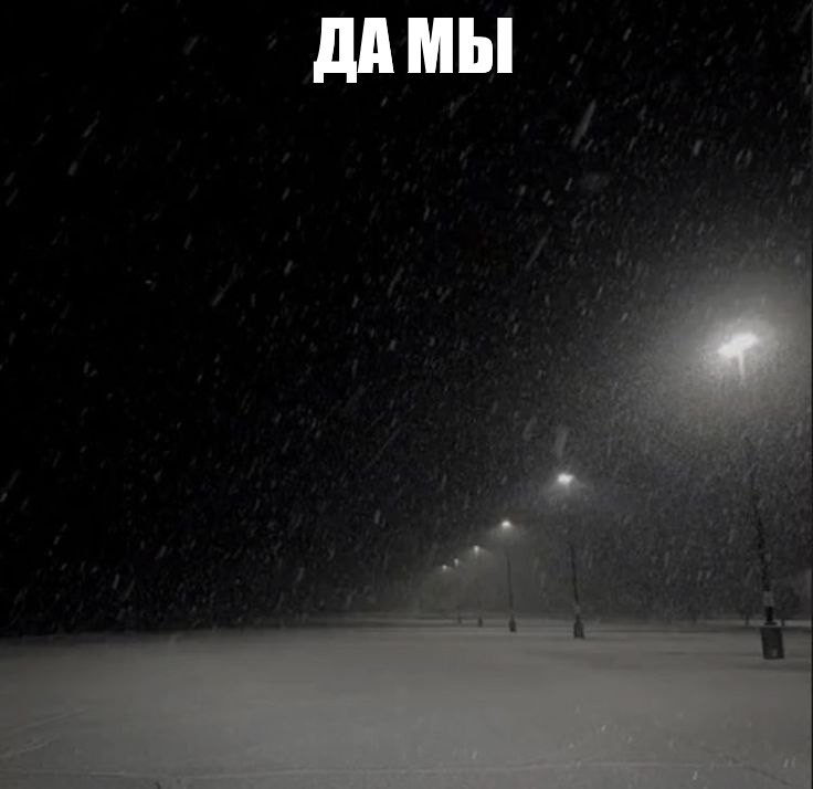 Create meme: Snow is a dream, winter night, snowfall at night