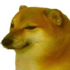 Create meme: Dog, cheem doge, doge