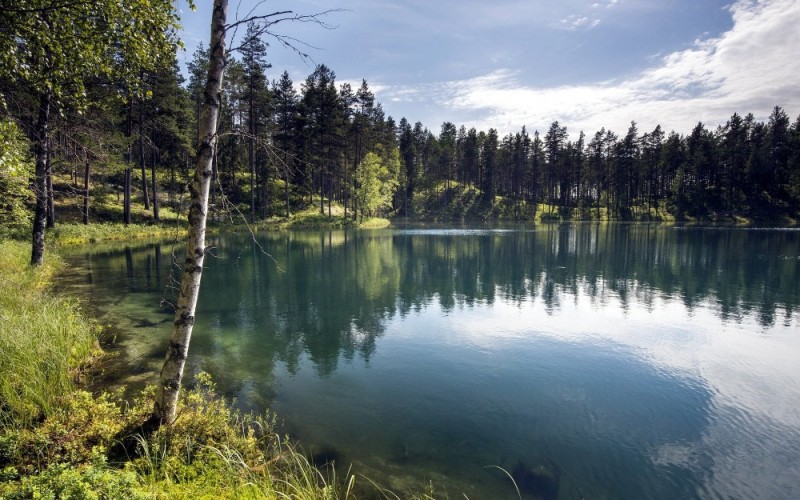 Create meme: emerald lake Abrashino, Solnechnogorsk forest lake, green lake meadows