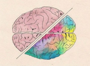 Create meme: the brain, lobe of the brain, brain