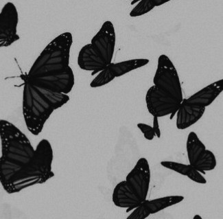 Create meme: black butterfly, black background with butterflies, black butterflies aesthetics