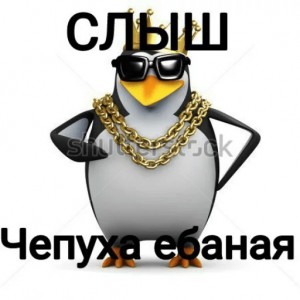 Создать мем: 3d пингвин мем, пингвин рэпер, мем