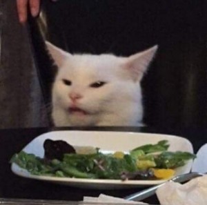 Create meme: cat, cats at the table, the cat from the meme at the table