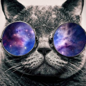 Создать мем: space cat, cat with glasses, просто космос