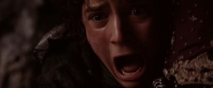 Create meme: Frodo nooo, Frodo shouts nooo, Frodo nooo