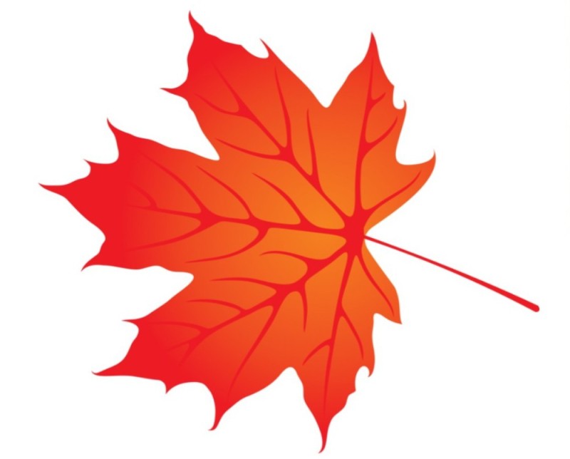 Create meme: maple leaf, leaves , autumn maple leaf