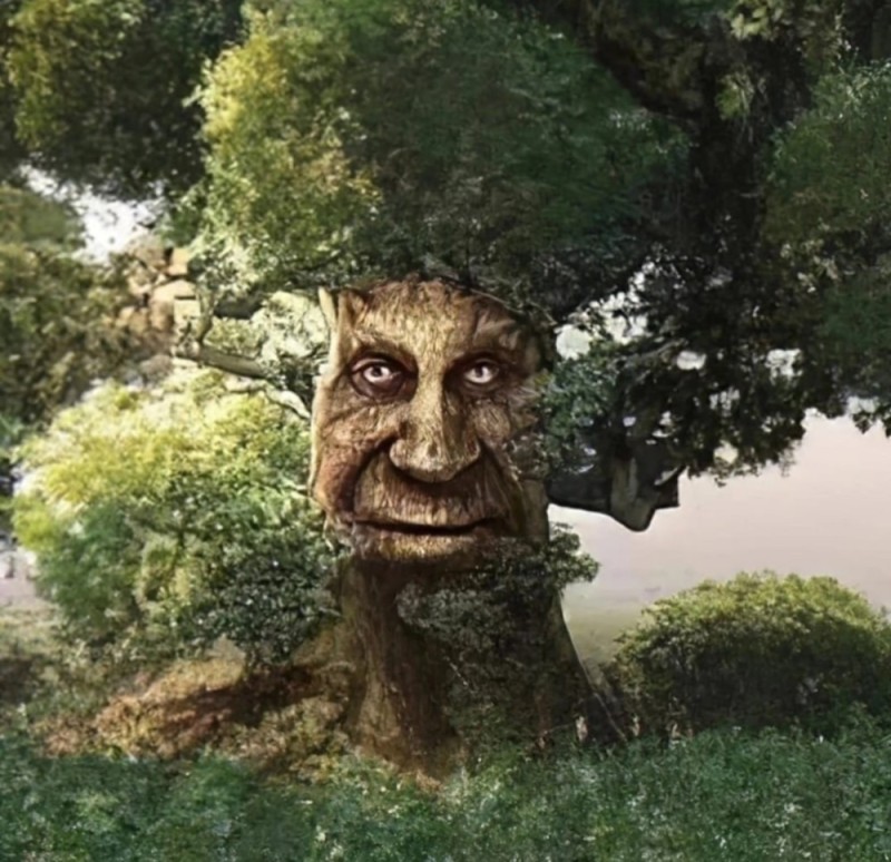 Create meme: the mystical tree, The mystical tree meme, The mysterious wise tree